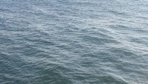 post.thumbnail.description